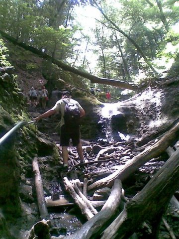 20080705(007) (Medium)